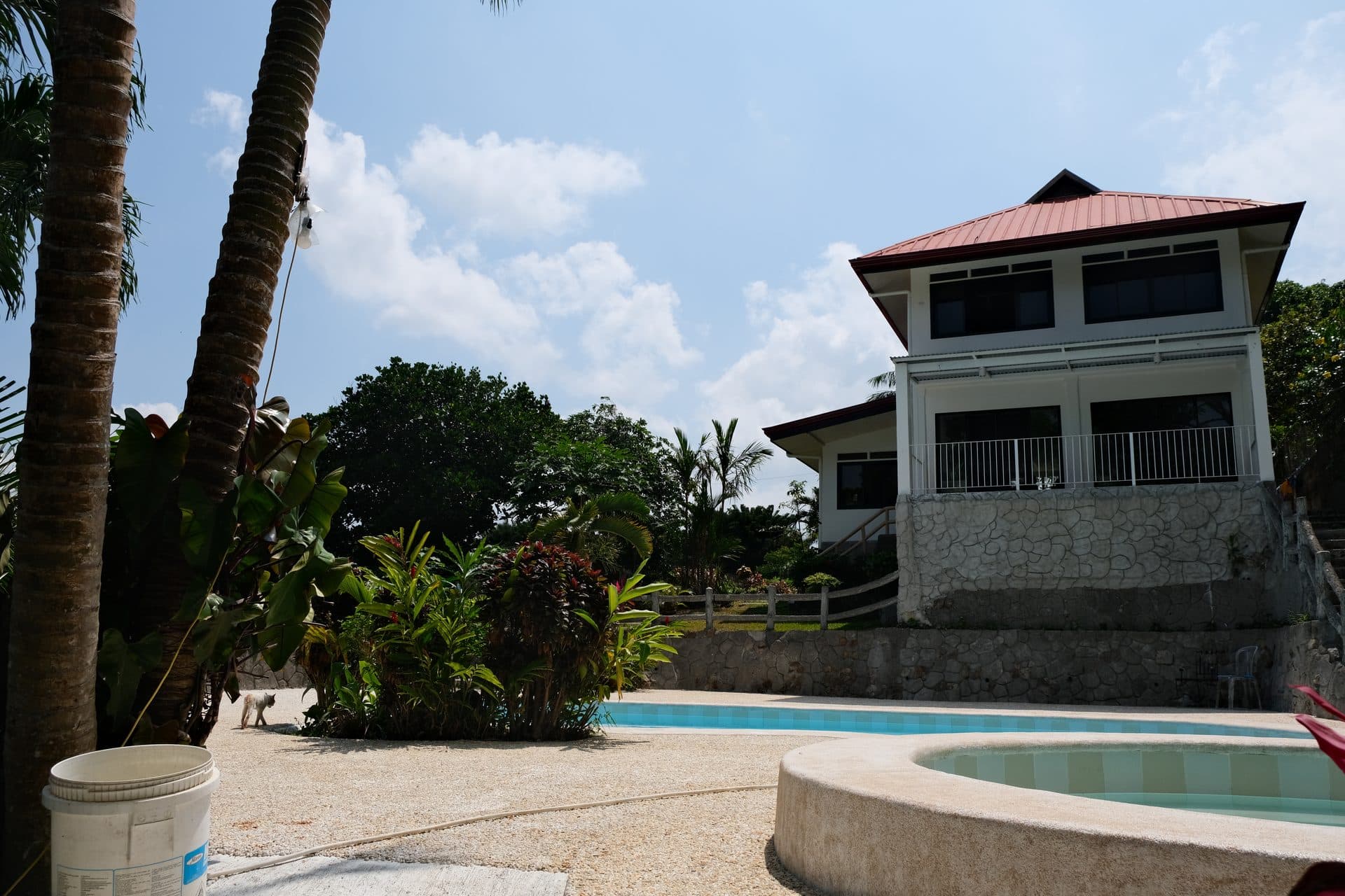 Pool and facade framed by palm trees